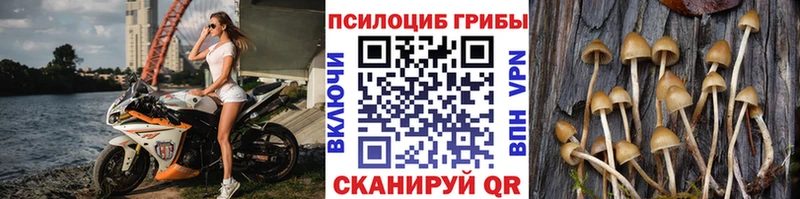 Галлюциногенные грибы Magic Shrooms  ОМГ ОМГ вход  Томилино 